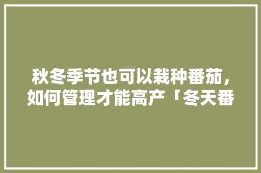 秋冬季节也可以栽种番茄，如何管理才能高产「冬天番茄怎么种植方法视频」 秋冬季节也可以栽种番茄，如何管理才能高产「冬天番茄怎么种植方法视频」 种植技巧