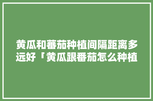 黄瓜和蕃茄种植间隔距离多远好「黄瓜跟番茄怎么种植视频」 农业常识 黄瓜和蕃茄种植间隔距离多远好「黄瓜跟番茄怎么种植视频」 黄瓜和蕃茄种植间隔距离多远好「黄瓜跟番茄怎么种植视频」 农业常识