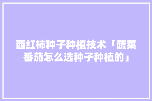 西红柿种子种植技术「蔬菜番茄怎么选种子种植的」 西红柿种子种植技术「蔬菜番茄怎么选种子种植的」 土壤施肥