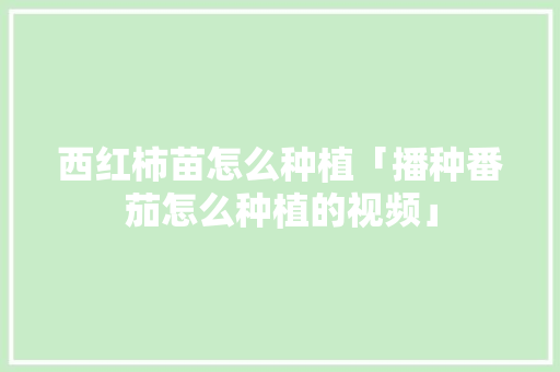 西红柿苗怎么种植「播种番茄怎么种植的视频」 西红柿苗怎么种植「播种番茄怎么种植的视频」 种植技巧