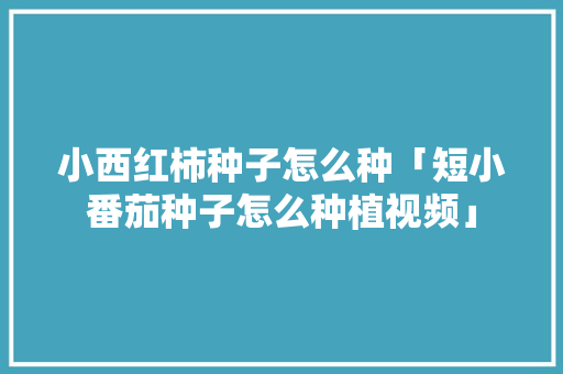 小西红柿种子怎么种「短小番茄种子怎么种植视频」 小西红柿种子怎么种「短小番茄种子怎么种植视频」 花朵知识