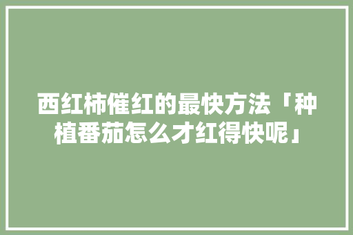 西红柿催红的最快方法「种植番茄怎么才红得快呢」 西红柿催红的最快方法「种植番茄怎么才红得快呢」 番茄种植技巧