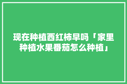 现在种植西红柿早吗「家里种植水果番茄怎么种植」 现在种植西红柿早吗「家里种植水果番茄怎么种植」 农业常识
