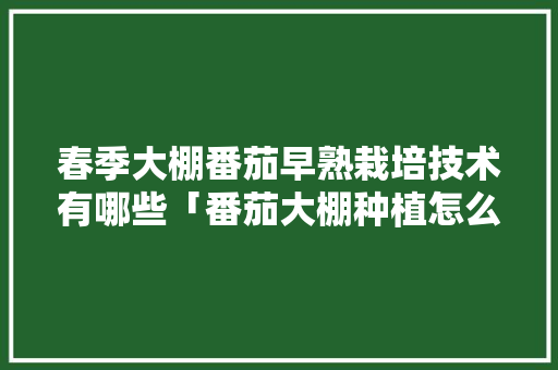 春季大棚番茄早熟栽培技术有哪些「番茄大棚种植怎么整地视频」 春季大棚番茄早熟栽培技术有哪些「番茄大棚种植怎么整地视频」 农业常识