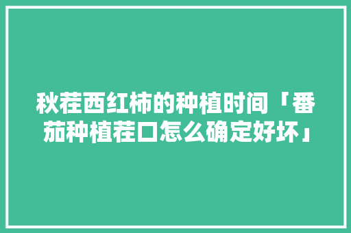 秋茬西红柿的种植时间「番茄种植茬口怎么确定好坏」 秋茬西红柿的种植时间「番茄种植茬口怎么确定好坏」 番茄种植技巧