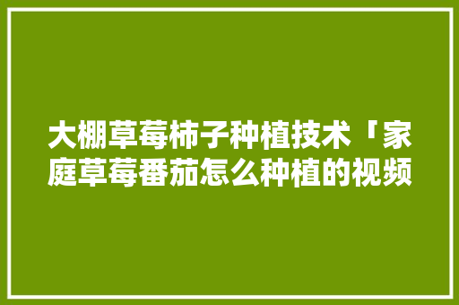 大棚草莓柿子种植技术「家庭草莓番茄怎么种植的视频」 大棚草莓柿子种植技术「家庭草莓番茄怎么种植的视频」 花朵知识