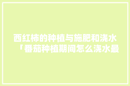 西红柿的种植与施肥和浇水「番茄种植期间怎么浇水最好」 西红柿的种植与施肥和浇水「番茄种植期间怎么浇水最好」 植物种类