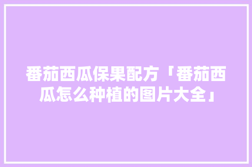 番茄西瓜保果配方「番茄西瓜怎么种植的图片大全」