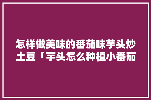 怎样做美味的番茄味芋头炒土豆「芋头怎么种植小番茄种子图片」 怎样做美味的番茄味芋头炒土豆「芋头怎么种植小番茄种子图片」 番茄病虫害防治