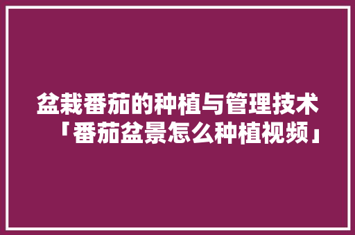 盆栽番茄的种植与管理技术「番茄盆景怎么种植视频」 盆栽番茄的种植与管理技术「番茄盆景怎么种植视频」 植物种类