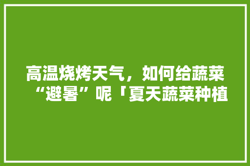 高温烧烤天气，如何给蔬菜“避暑”呢「夏天蔬菜种植小技巧视频教程」 高温烧烤天气，如何给蔬菜“避暑”呢「夏天蔬菜种植小技巧视频教程」 农业常识