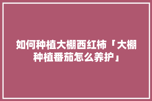 如何种植大棚西红柿「大棚种植番茄怎么养护」 如何种植大棚西红柿「大棚种植番茄怎么养护」 花朵知识