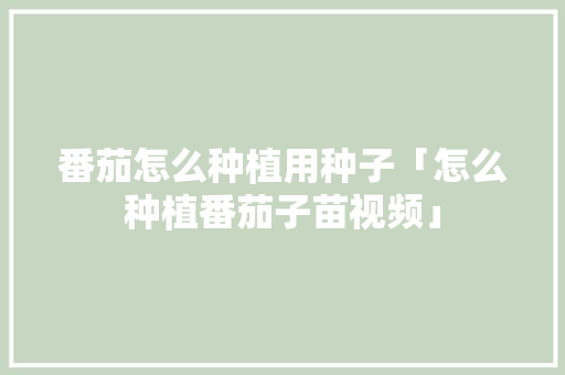 番茄怎么种植用种子「怎么种植番茄子苗视频」 番茄怎么种植用种子「怎么种植番茄子苗视频」 土壤施肥