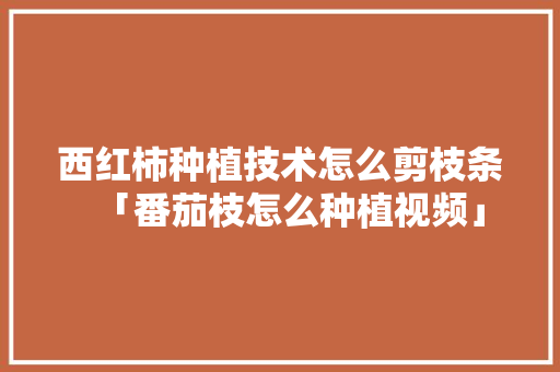西红柿种植技术怎么剪枝条「番茄枝怎么种植视频」 西红柿种植技术怎么剪枝条「番茄枝怎么种植视频」 植物种类