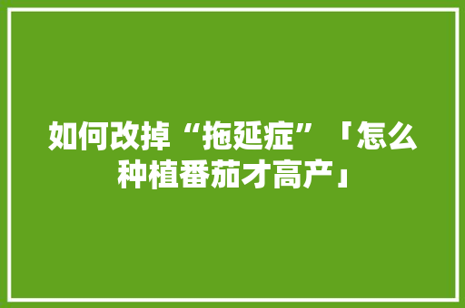 如何改掉“拖延症”「怎么种植番茄才高产」 如何改掉“拖延症”「怎么种植番茄才高产」 种植技巧