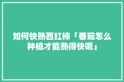 如何快熟西红柿「番茄怎么种植才能熟得快呢」 如何快熟西红柿「番茄怎么种植才能熟得快呢」 植物种类