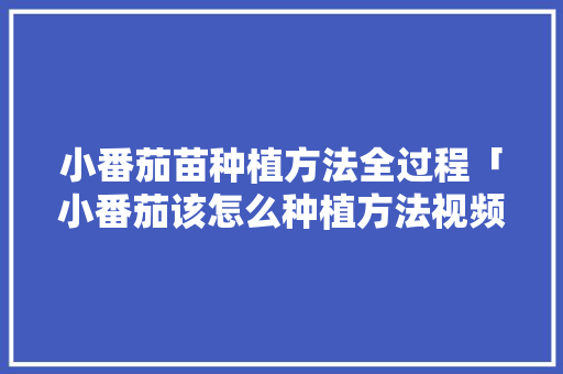 小番茄苗种植方法全过程「小番茄该怎么种植方法视频」 小番茄苗种植方法全过程「小番茄该怎么种植方法视频」 种植技巧