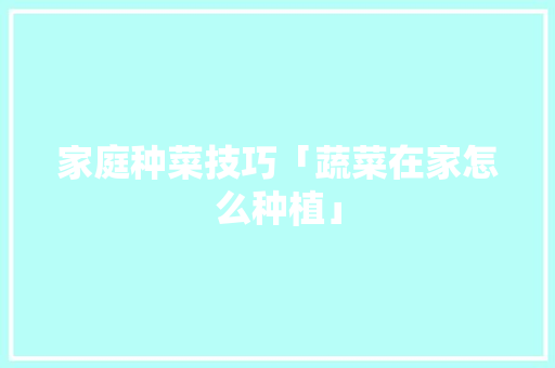 家庭种菜技巧「蔬菜在家怎么种植」 家庭种菜技巧「蔬菜在家怎么种植」 花朵知识
