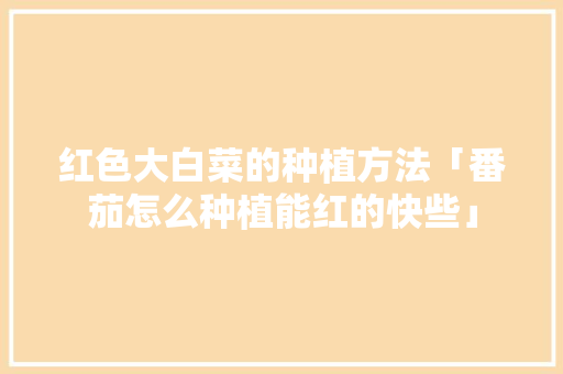 红色大白菜的种植方法「番茄怎么种植能红的快些」 红色大白菜的种植方法「番茄怎么种植能红的快些」 农业常识