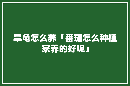 旱龟怎么养「番茄怎么种植家养的好呢」 旱龟怎么养「番茄怎么种植家养的好呢」 种植技巧