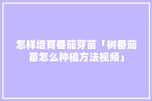怎样培育番茄芽苗「树番茄苗怎么种植方法视频」 怎样培育番茄芽苗「树番茄苗怎么种植方法视频」 土壤施肥