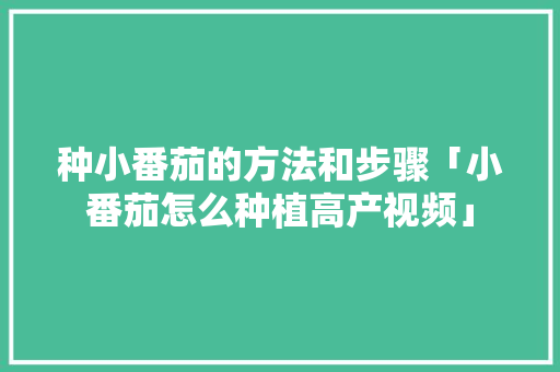 种小番茄的方法和步骤「小番茄怎么种植高产视频」 种小番茄的方法和步骤「小番茄怎么种植高产视频」 土壤施肥