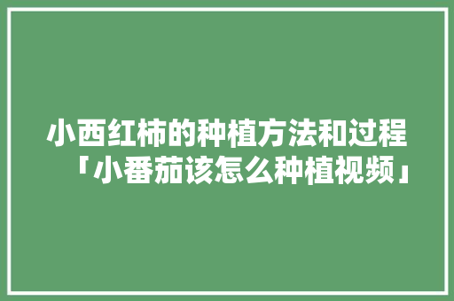 小西红柿的种植方法和过程「小番茄该怎么种植视频」 农业常识 小西红柿的种植方法和过程「小番茄该怎么种植视频」 小西红柿的种植方法和过程「小番茄该怎么种植视频」 农业常识