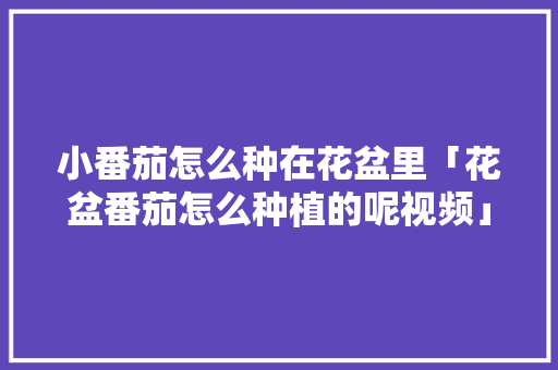 小番茄怎么种在花盆里「花盆番茄怎么种植的呢视频」 小番茄怎么种在花盆里「花盆番茄怎么种植的呢视频」 花朵知识