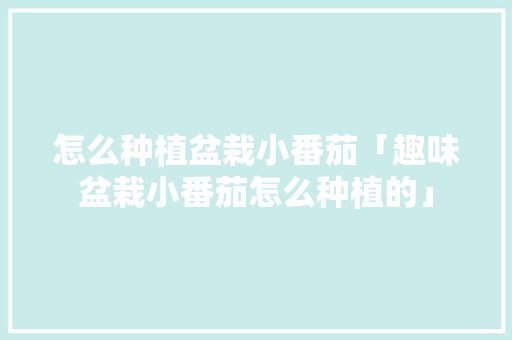 怎么种植盆栽小番茄「趣味盆栽小番茄怎么种植的」 怎么种植盆栽小番茄「趣味盆栽小番茄怎么种植的」 农业常识