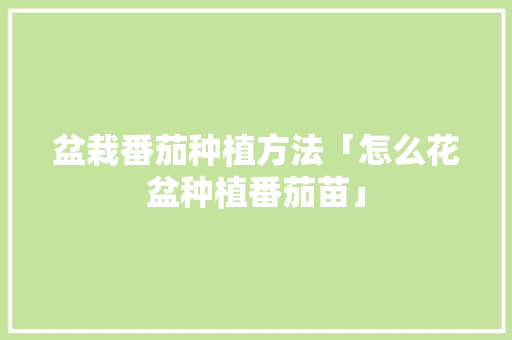 盆栽番茄种植方法「怎么花盆种植番茄苗」 盆栽番茄种植方法「怎么花盆种植番茄苗」 土壤施肥