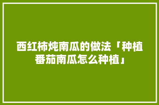 西红柿炖南瓜的做法「种植番茄南瓜怎么种植」