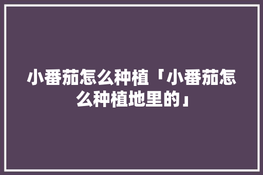 小番茄怎么种植「小番茄怎么种植地里的」 小番茄怎么种植「小番茄怎么种植地里的」 种植技巧
