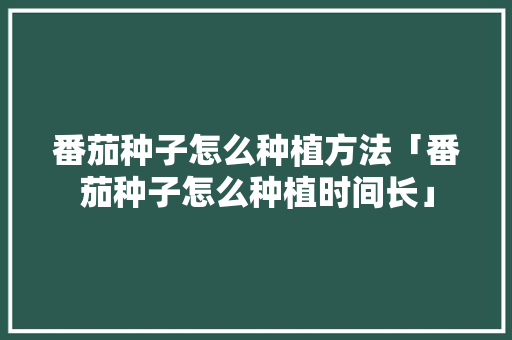 番茄种子怎么种植方法「番茄种子怎么种植时间长」 番茄种子怎么种植方法「番茄种子怎么种植时间长」 土壤施肥