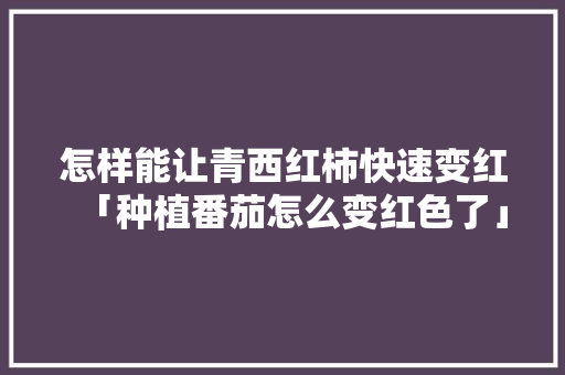 怎样能让青西红柿快速变红「种植番茄怎么变红色了」 怎样能让青西红柿快速变红「种植番茄怎么变红色了」 种植技巧
