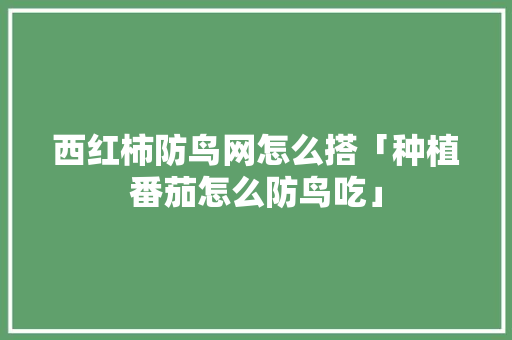 西红柿防鸟网怎么搭「种植番茄怎么防鸟吃」