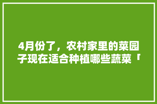 4月份了，农村家里的菜园子现在适合种植哪些蔬菜「叶类蔬菜种植技巧视频」 4月份了，农村家里的菜园子现在适合种植哪些蔬菜「叶类蔬菜种植技巧视频」 土壤施肥