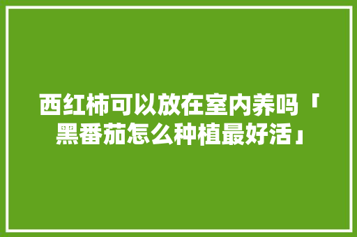 西红柿可以放在室内养吗「黑番茄怎么种植最好活」 西红柿可以放在室内养吗「黑番茄怎么种植最好活」 番茄病虫害防治