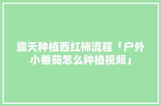 露天种植西红柿流程「户外小番茄怎么种植视频」 露天种植西红柿流程「户外小番茄怎么种植视频」 植物种类
