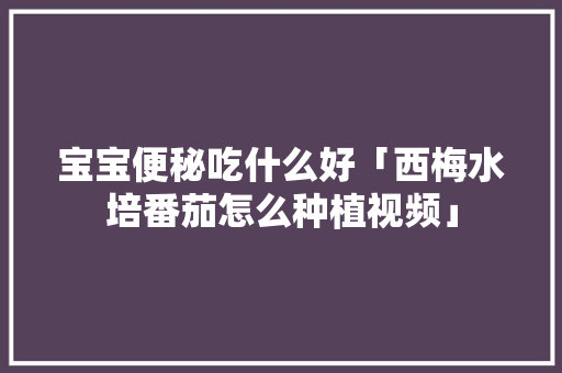 宝宝便秘吃什么好「西梅水培番茄怎么种植视频」 宝宝便秘吃什么好「西梅水培番茄怎么种植视频」 番茄病虫害防治