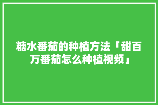 糖水番茄的种植方法「甜百万番茄怎么种植视频」 糖水番茄的种植方法「甜百万番茄怎么种植视频」 土壤施肥
