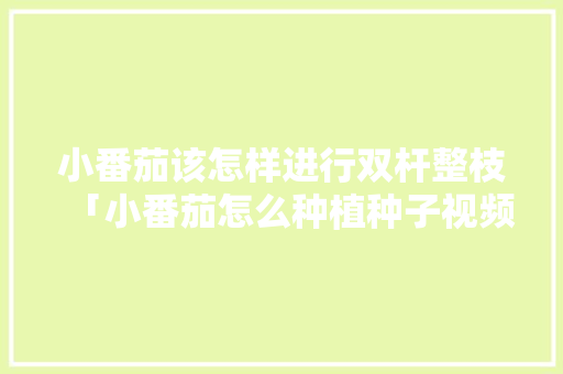 小番茄该怎样进行双杆整枝「小番茄怎么种植种子视频教程」 小番茄该怎样进行双杆整枝「小番茄怎么种植种子视频教程」 种植技巧