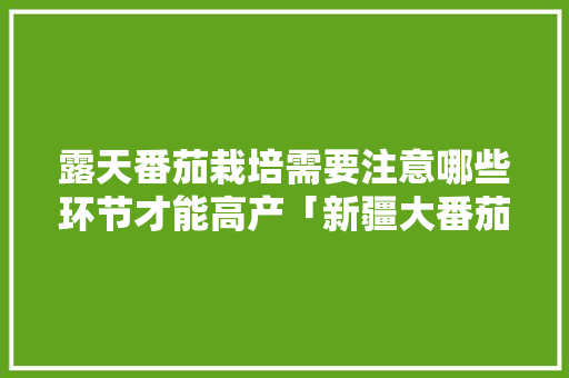 露天番茄栽培需要注意哪些环节才能高产「新疆大番茄种子怎么种植的」 露天番茄栽培需要注意哪些环节才能高产「新疆大番茄种子怎么种植的」 番茄病虫害防治