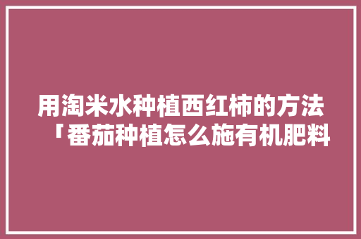 用淘米水种植西红柿的方法「番茄种植怎么施有机肥料呢」