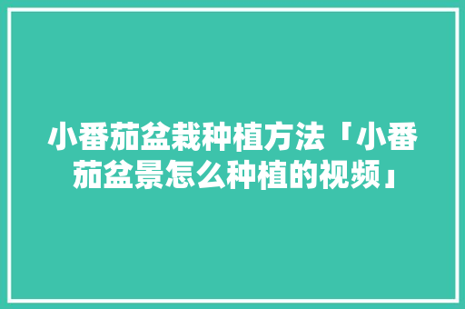 小番茄盆栽种植方法「小番茄盆景怎么种植的视频」 小番茄盆栽种植方法「小番茄盆景怎么种植的视频」 植物种类