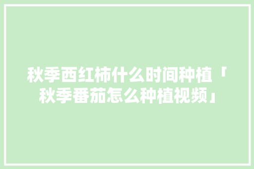 秋季西红柿什么时间种植「秋季番茄怎么种植视频」 秋季西红柿什么时间种植「秋季番茄怎么种植视频」 番茄种植技巧
