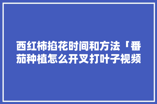 西红柿掐花时间和方法「番茄种植怎么开叉打叶子视频」 西红柿掐花时间和方法「番茄种植怎么开叉打叶子视频」 花朵知识