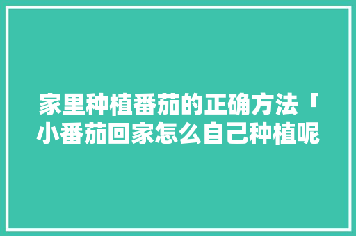 家里种植番茄的正确方法「小番茄回家怎么自己种植呢」 家里种植番茄的正确方法「小番茄回家怎么自己种植呢」 农业常识