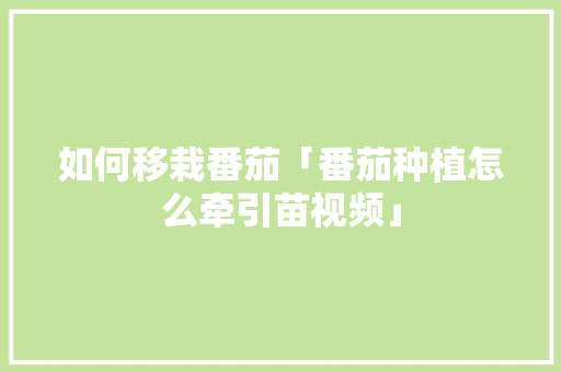 如何移栽番茄「番茄种植怎么牵引苗视频」