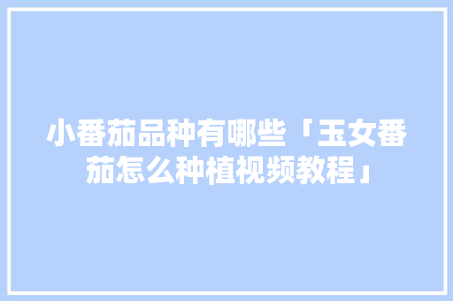 小番茄品种有哪些「玉女番茄怎么种植视频教程」 小番茄品种有哪些「玉女番茄怎么种植视频教程」 种植技巧