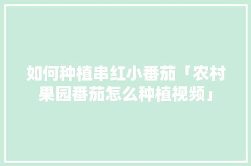 如何种植串红小番茄「农村果园番茄怎么种植视频」 如何种植串红小番茄「农村果园番茄怎么种植视频」 番茄种植技巧
